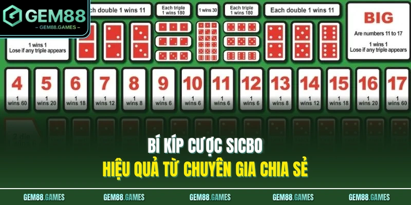 Bí kíp cược Poker hiệu quả từ chuyên gia chia sẻ