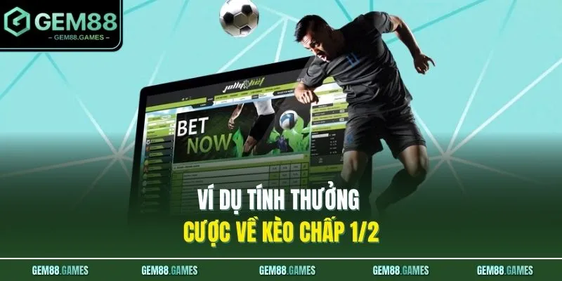 Kèo Chấp 1/2 Là Gì? Cách Đánh Kèo Chấp 0.5 Chuẩn Xác 2 Ví dụ tính thưởng cược về kèo chấp 1/2